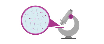 Microscope analyzing sperm